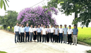 chụp ảnh lưu niệm