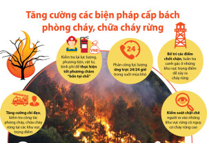ảnh PCCCR c Mai